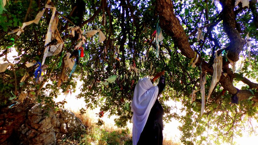 árbol de los deseos